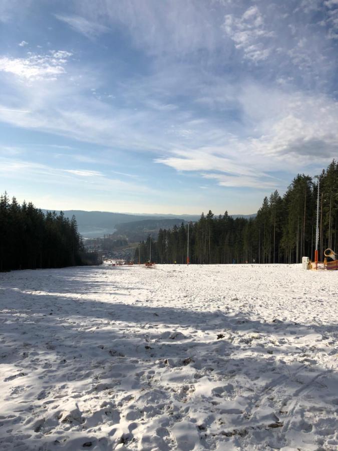 L&B Lake View Modern Apartment Lipno nad Vltavou Eksteriør bilde