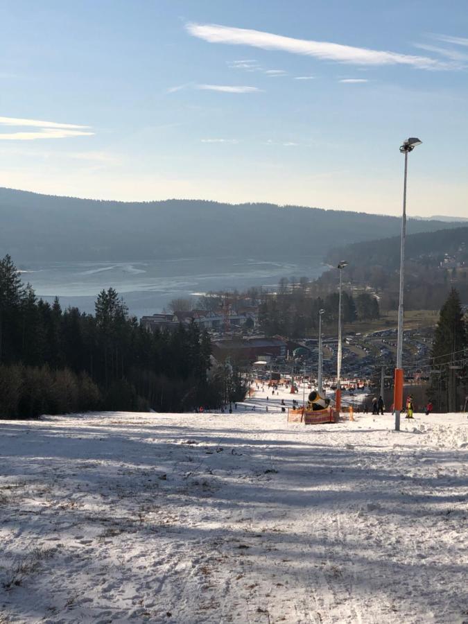 L&B Lake View Modern Apartment Lipno nad Vltavou Eksteriør bilde