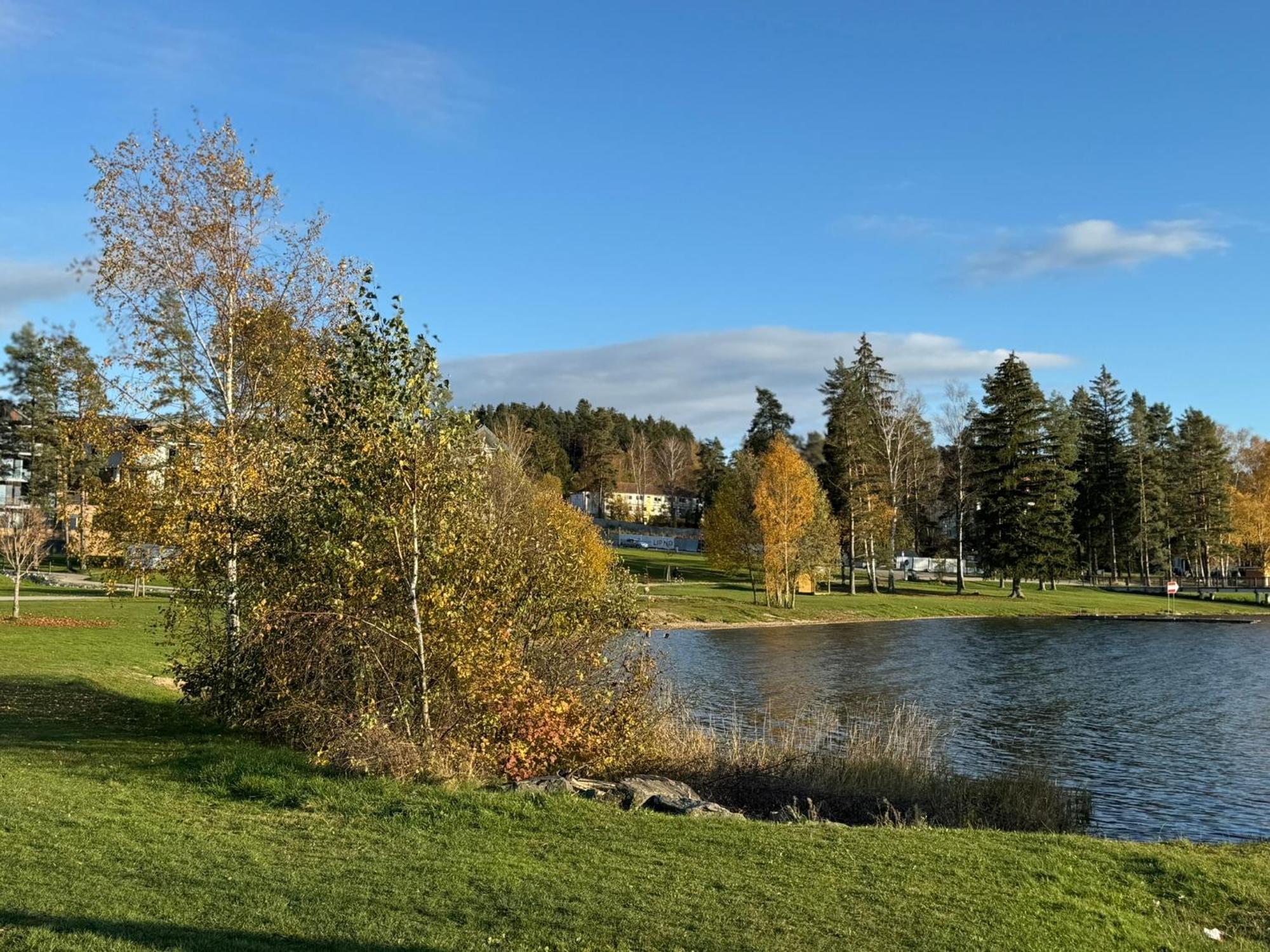 L&B Lake View Modern Apartment Lipno nad Vltavou Eksteriør bilde